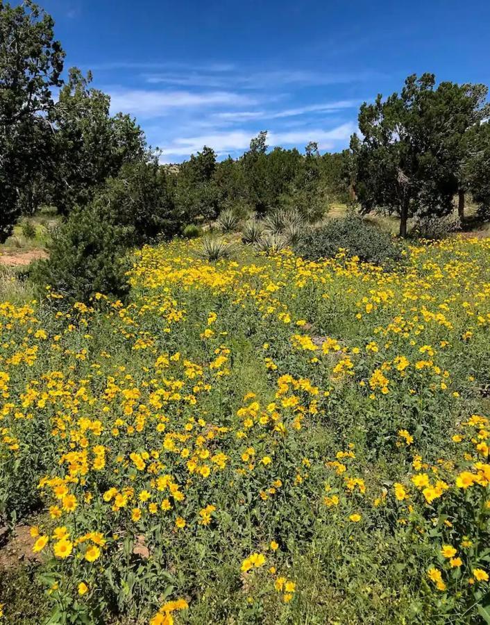 Pet Friendly Pinon Heaven Bed & Breakfast Canada de los Alamos Екстериор снимка